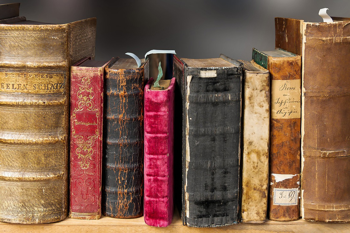 Archives genevoises en danger!